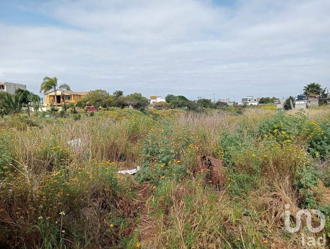 Terreno en Venta en Reforma, Playas de Rosarito, Baja California | NEX-230576 | iad México | Foto 7 de 11
