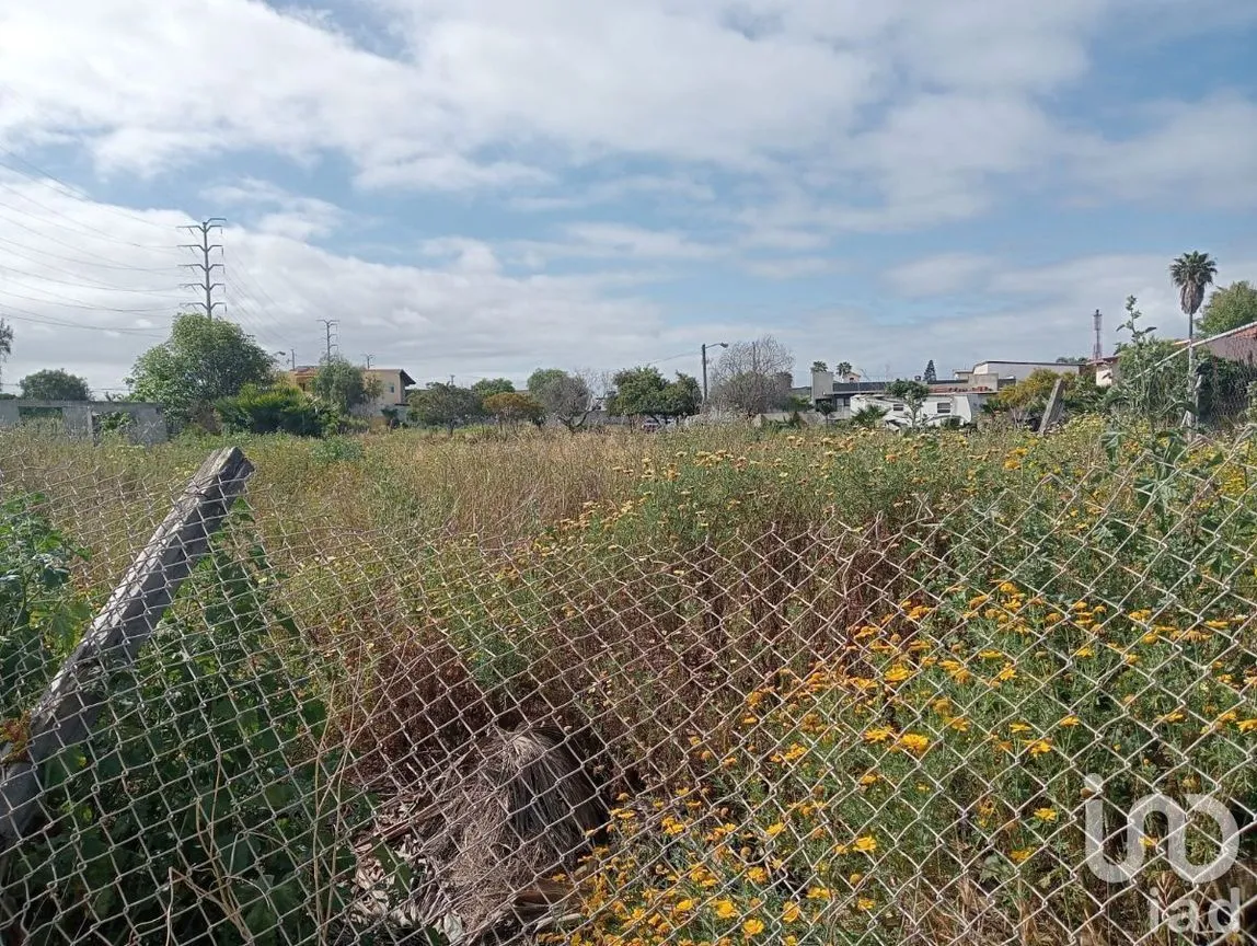 Terreno en Venta en Reforma, Playas de Rosarito, Baja California | NEX-230576 | iad México | Foto 8 de 11