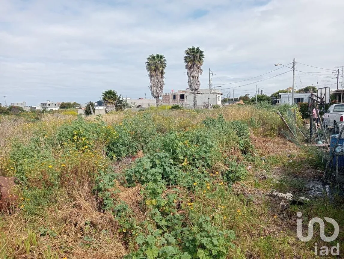 Terreno en Venta en Reforma, Playas de Rosarito, Baja California | NEX-230576 | iad México | Foto 9 de 11