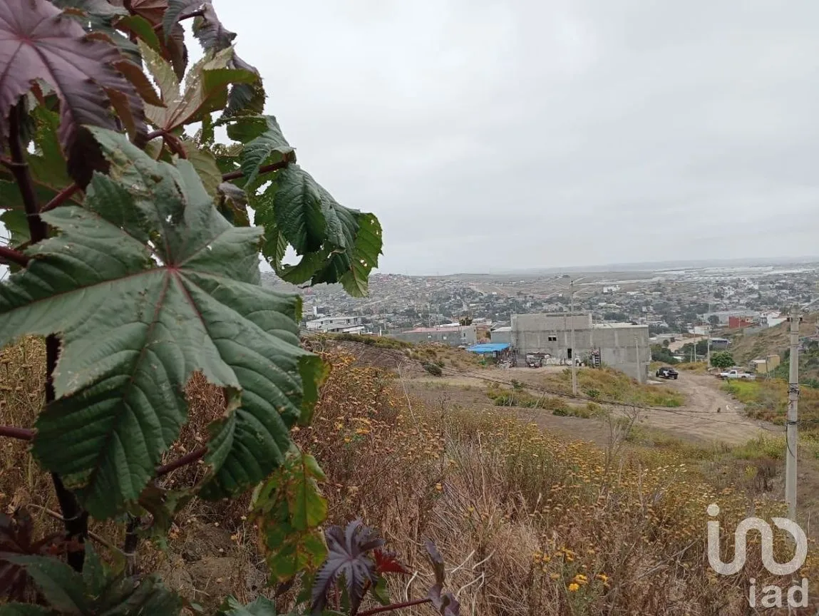 Terreno en Venta en Campestre Lagos, Playas de Rosarito, Baja California | NEX-230586 | iad México | Foto 2 de 8