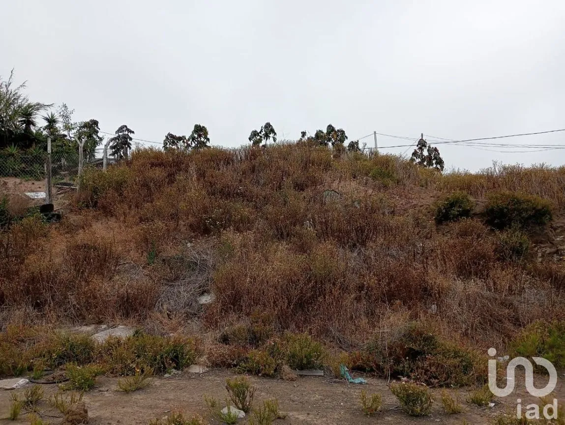 Terreno en Venta en Campestre Lagos, Playas de Rosarito, Baja California | NEX-230586 | iad México | Foto 7 de 8