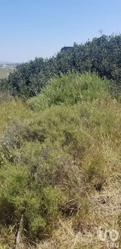 Casa en Venta en Terrazas del Pacífico, Playas de Rosarito, Baja California | NEX-230587 | iad México | Foto 29 de 50