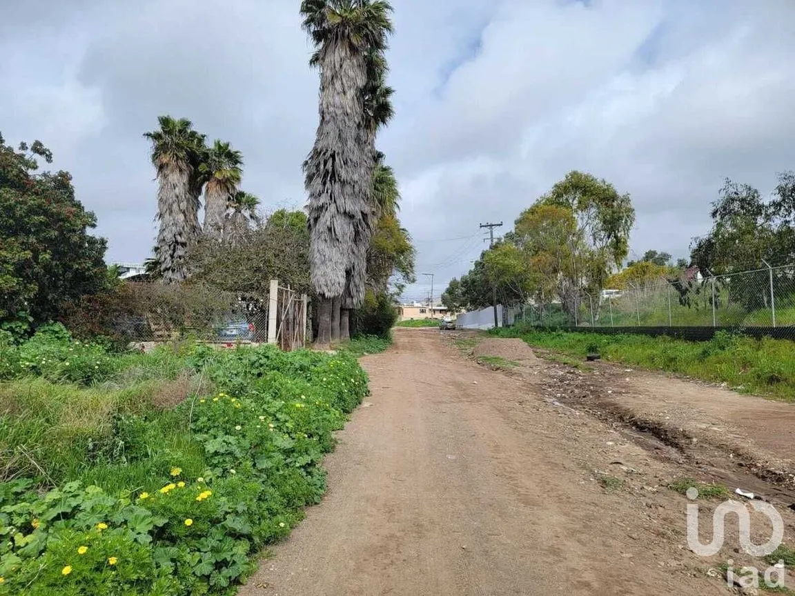 Terreno en Venta en Lomas de Rosarito, Playas de Rosarito, Baja California | NEX-230603 | iad México | Foto 2 de 17