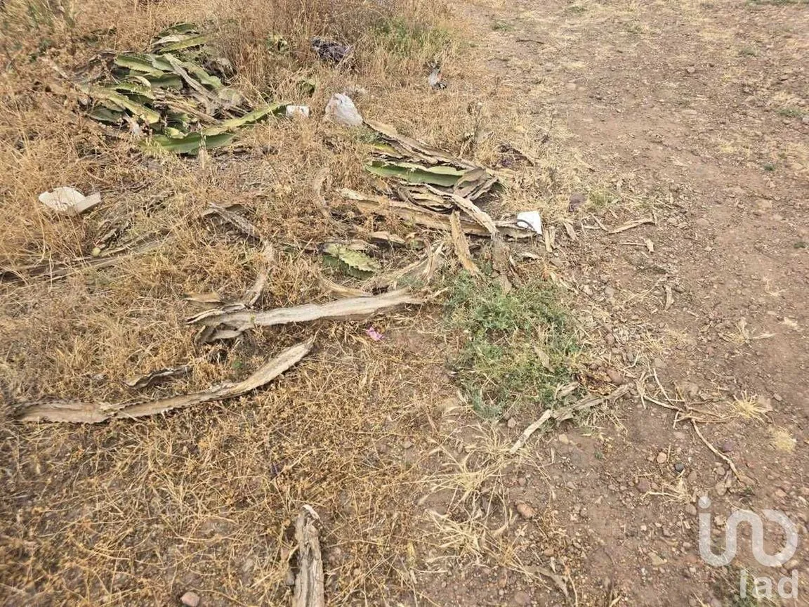 Terreno en Venta en Colinas de Rosarito 1a. Sección, Playas de Rosarito, Baja California | NEX-230607 | iad México | Foto 12 de 17