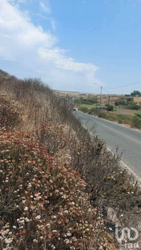Terreno en Venta en Echeverría, Playas de Rosarito, Baja California | NEX-230614 | iad México | Foto 4 de 24