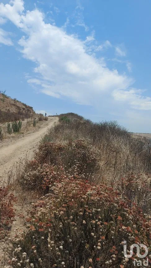 Terreno en Venta en Echeverría, Playas de Rosarito, Baja California | NEX-230614 | iad México | Foto 5 de 24