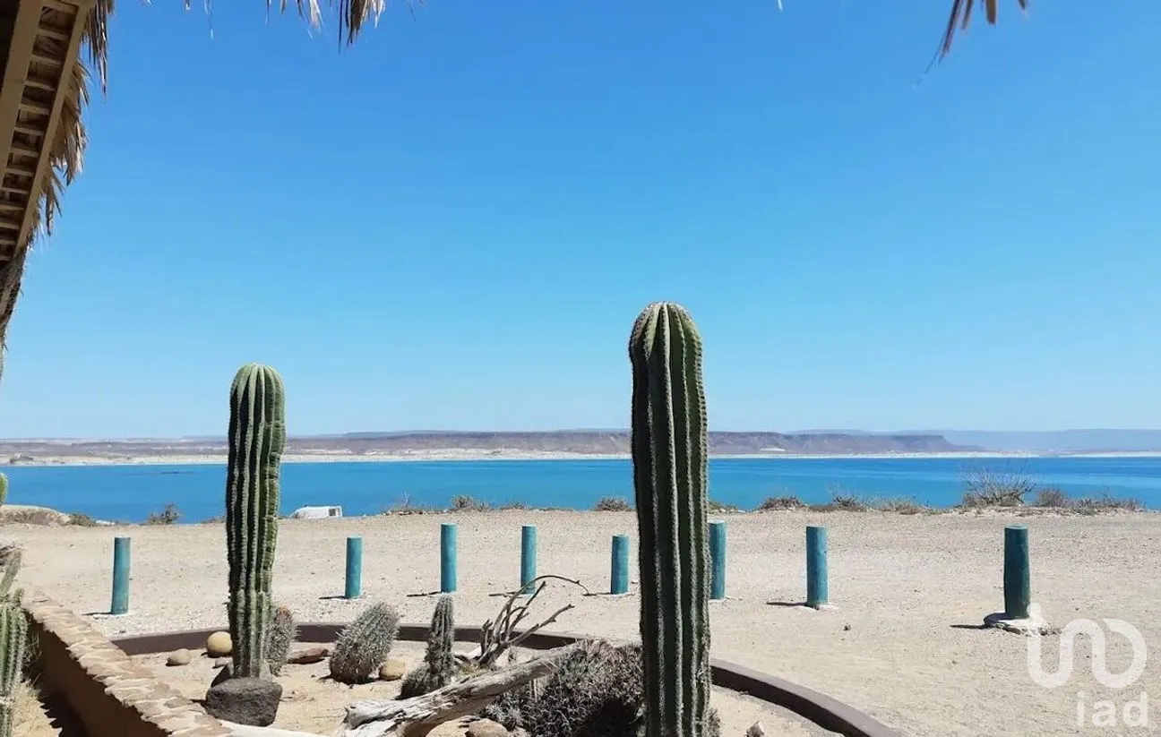 Terreno en Venta en San Juanico, Comondú, Baja California Sur | NEX-278548 | iad México | Foto 6 de 8
