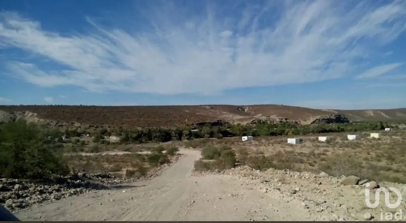 Terreno en Venta en San Ignacio Centro, Mulegé, Baja California Sur | NEX-278556 | iad México | Foto 3 de 6