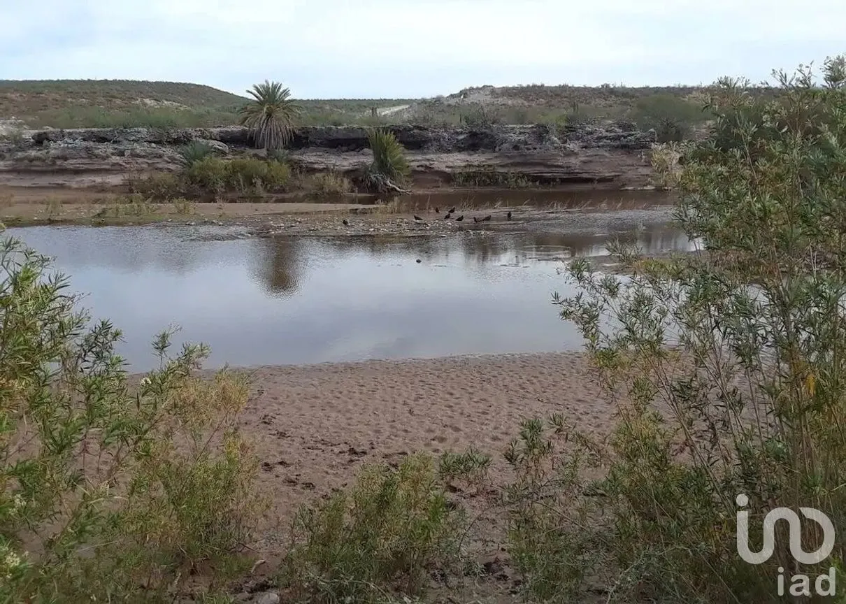 Terreno en Venta en San Ignacio Centro, Mulegé, Baja California Sur | NEX-278556 | iad México | Foto 5 de 6