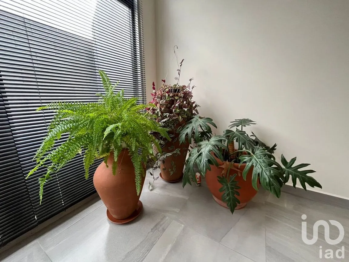 Casa en Venta en Aztlán, Playas de Rosarito, Baja California | NEX-278565 | iad México | Foto 33 de 33