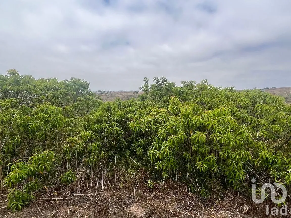 Terreno en Venta en Real del Mar, Tijuana, Baja California | NEX-278940 | iad México | Foto 16 de 28