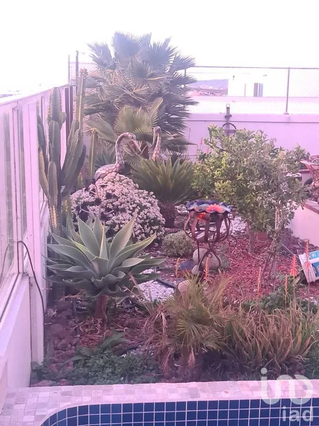 Casa en Venta en Misión del Mar II, Playas de Rosarito, Baja California | NEX-280090 | iad México | Foto 38 de 48