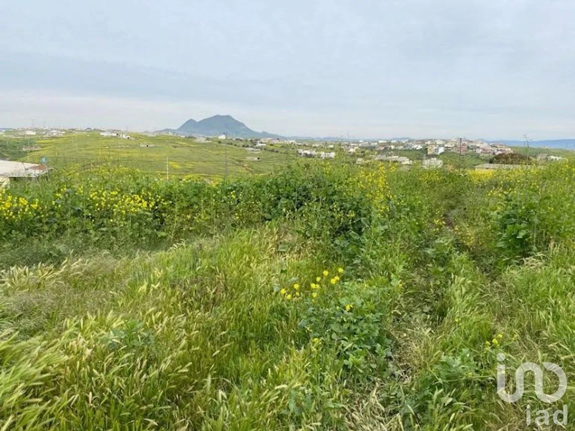 Terreno en Venta en Terrazas del Pacífico, Playas de Rosarito, Baja California | NEX-282139 | iad México | Foto 3 de 32