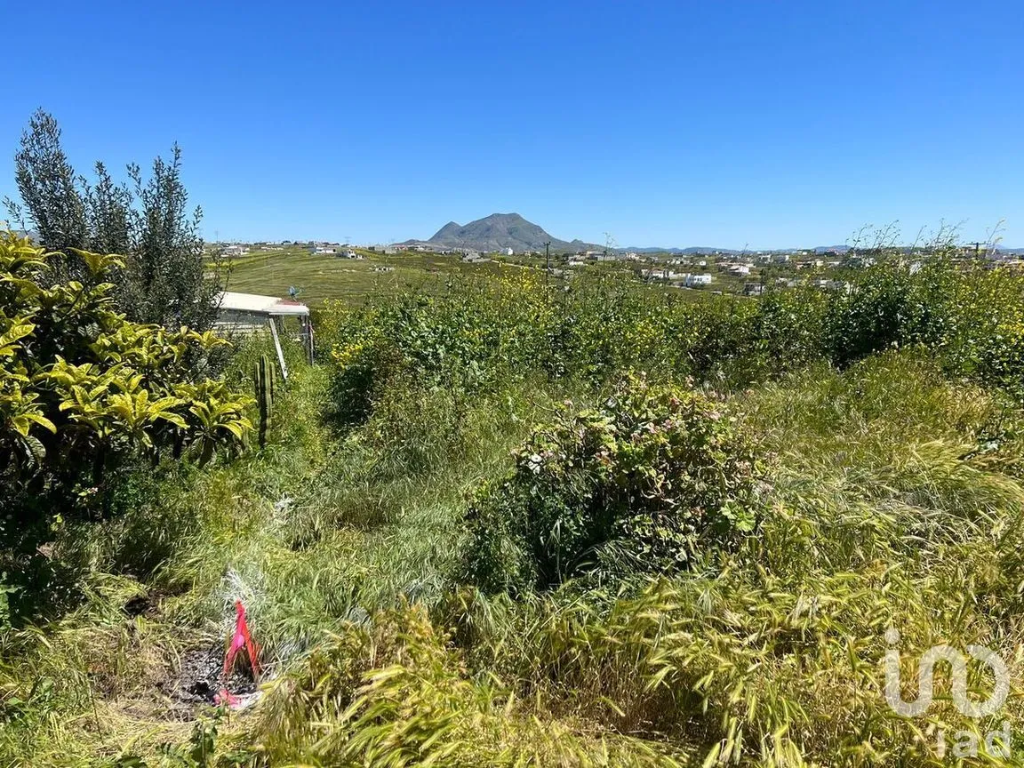 Terreno en Venta en Terrazas del Pacífico, Playas de Rosarito, Baja California | NEX-282139 | iad México | Foto 30 de 32