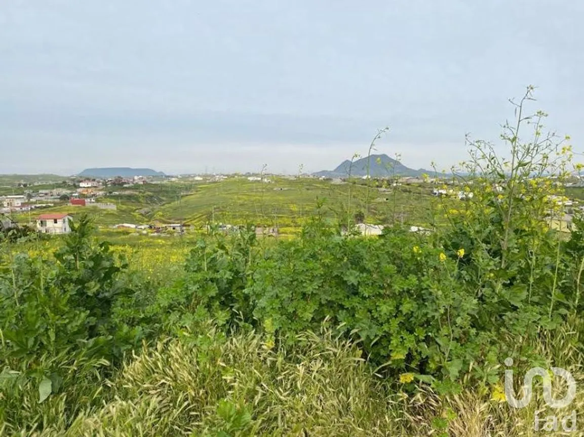 Terreno en Venta en Terrazas del Pacífico, Playas de Rosarito, Baja California | NEX-282139 | iad México | Foto 10 de 32