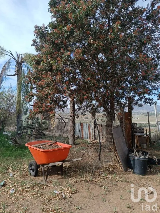 Casa en Venta en Francisco Zarco, Ensenada, Baja California | NEX-282471 | iad México | Foto 17 de 39