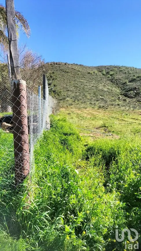 Casa en Venta en Francisco Zarco, Ensenada, Baja California | NEX-282471 | iad México | Foto 30 de 39