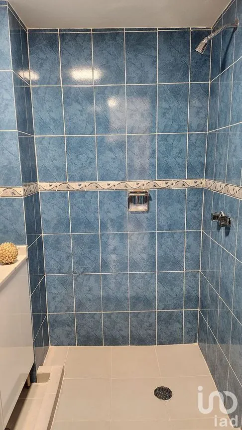 Departamento en Renta en Hipódromo Condesa, Cuauhtémoc, Ciudad de México | NEX-231842 | iad México | Foto 12 de 14