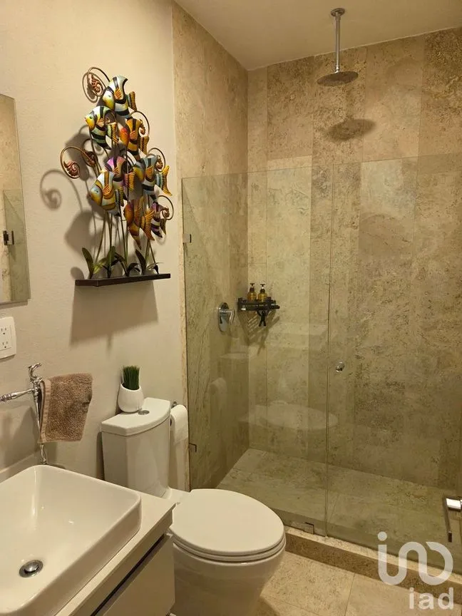 Departamento en Renta en Del Valle Centro, Benito Juárez, Ciudad de México | NEX-279003 | iad México | Foto 18 de 26
