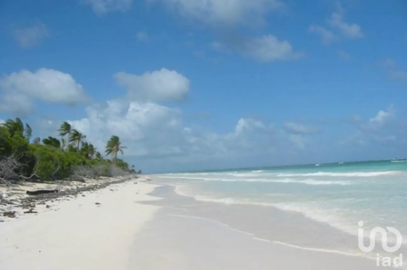 Terreno en Venta en Mahahual, Othón P. Blanco, Quintana Roo | NEX-288770 | iad México | Foto 7 de 12