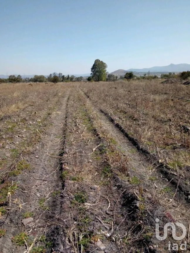 Terreno en Venta en Arboledas de Santa Isabel, San Felipe, Guanajuato | NEX-266392 | iad México | Foto 3 de 4