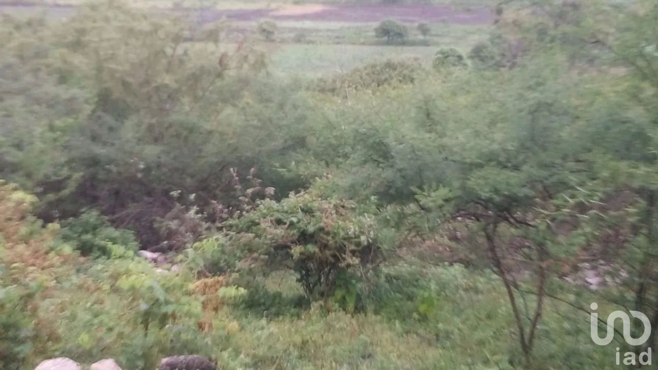 Terreno en Venta en La Esperanza, Cuautla, Morelos | NEX-266471 | iad México | Foto 2 de 19