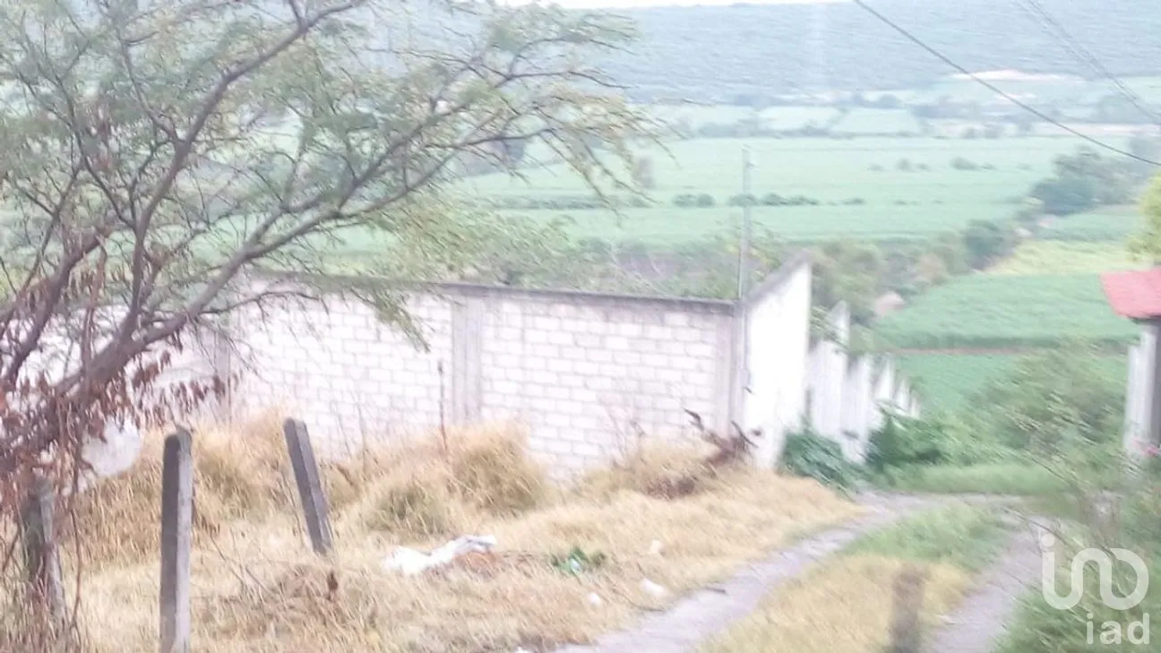 Terreno en Venta en La Esperanza, Cuautla, Morelos | NEX-266471 | iad México | Foto 12 de 19