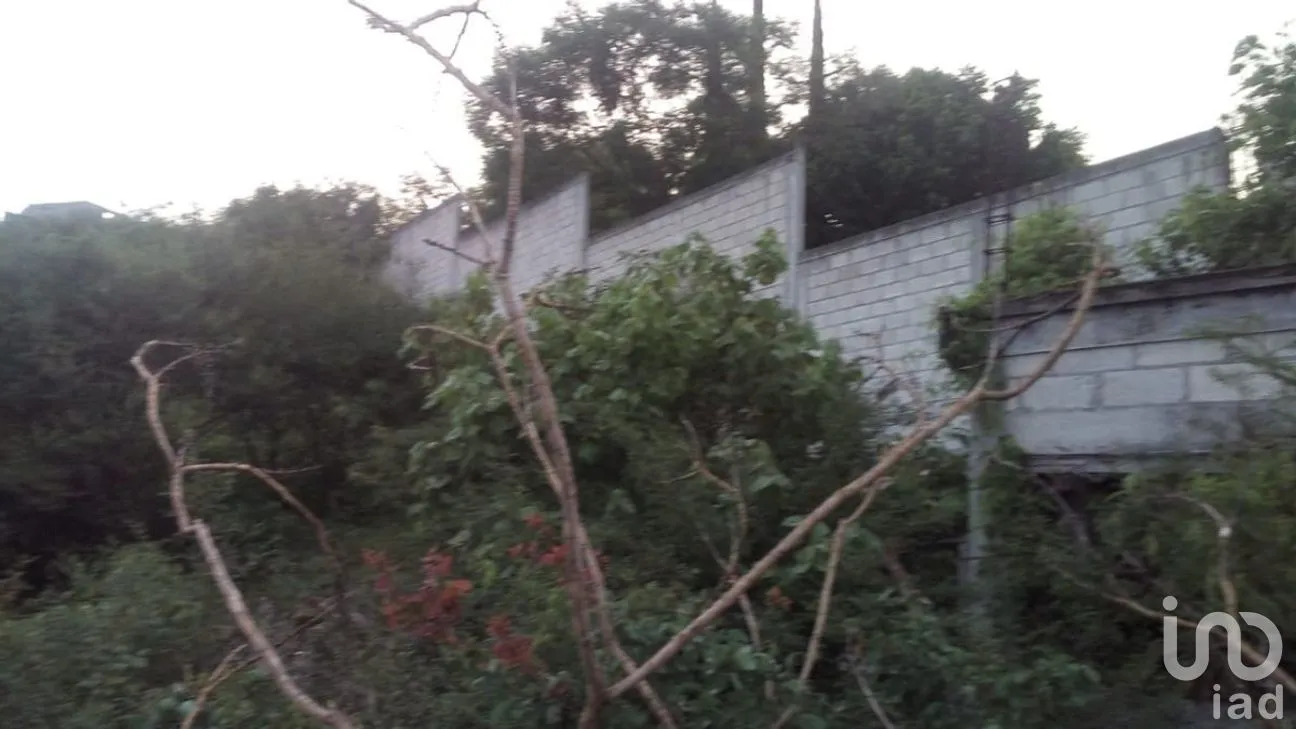 Terreno en Venta en La Esperanza, Cuautla, Morelos | NEX-266471 | iad México | Foto 16 de 19