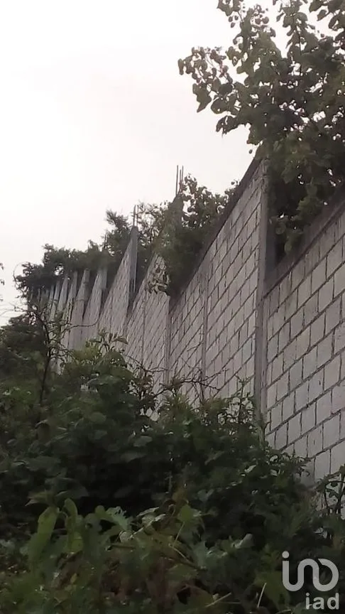 Terreno en Venta en La Esperanza, Cuautla, Morelos | NEX-266471 | iad México | Foto 3 de 19
