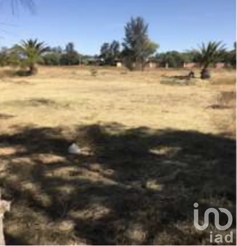 Terreno en Venta en La Pitahaya, Apaseo el Grande, Guanajuato | NEX-266514 | iad México | Foto 1 de 2