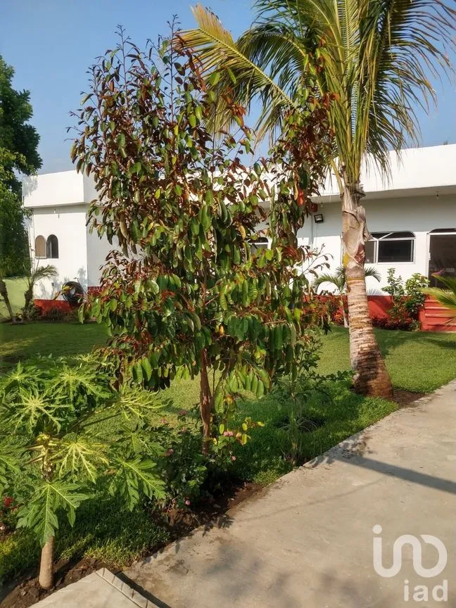 Casa en Venta en Tetecalita, Emiliano Zapata, Morelos | NEX-266676 | iad México | Foto 32 de 42