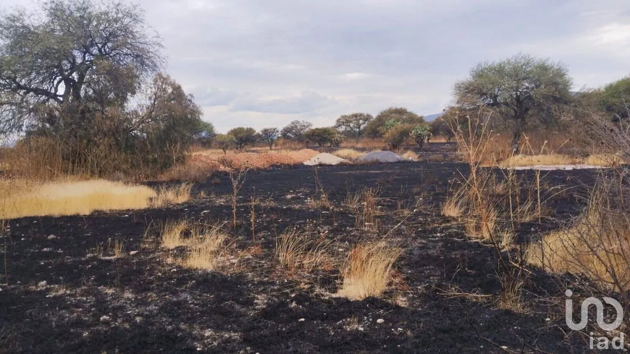 Terreno en Renta en Ajuchitlán, Colón, Querétaro | NEX-267872 | iad México | Foto 2 de 5