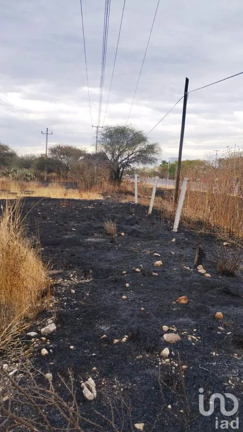 Terreno en Renta en Ajuchitlán, Colón, Querétaro | NEX-267872 | iad México | Foto 4 de 5