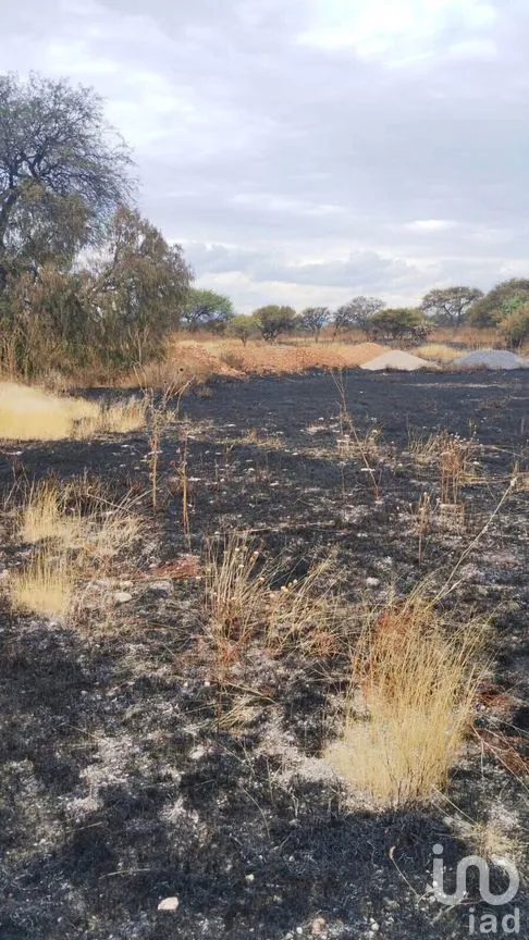 Terreno en Renta en Ajuchitlán, Colón, Querétaro | NEX-267872 | iad México | Foto 5 de 5