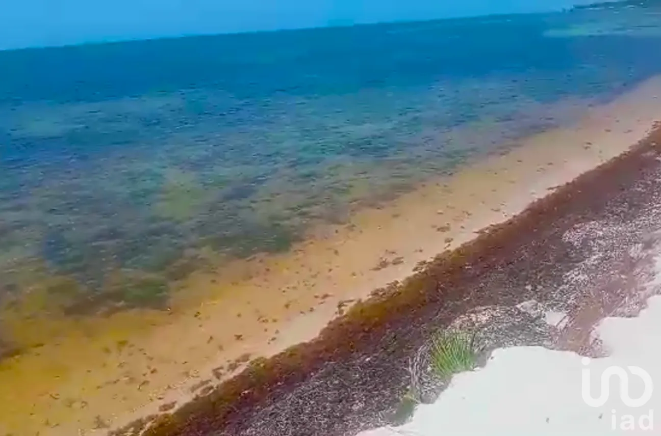 Terreno en Venta en Limones, Bacalar, Quintana Roo | NEX-267874 | iad México | Foto 2 de 13