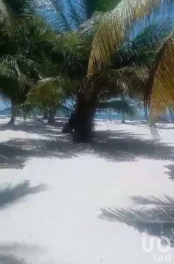 Terreno en Venta en Limones, Bacalar, Quintana Roo | NEX-267874 | iad México | Foto 12 de 13