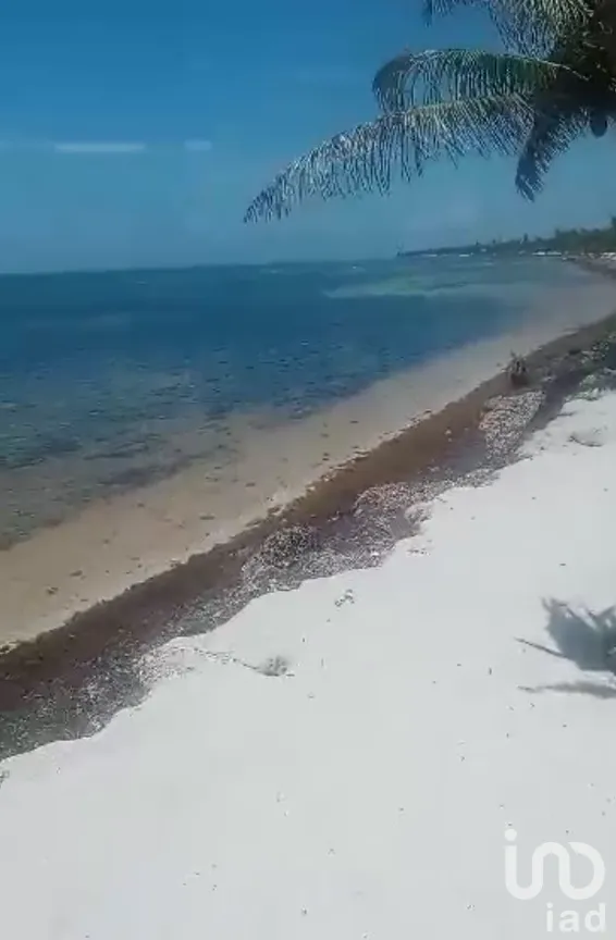 Terreno en Venta en Limones, Bacalar, Quintana Roo | NEX-267874 | iad México | Foto 4 de 13