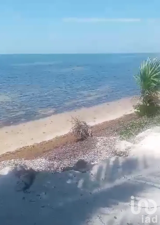 Terreno en Venta en Limones, Bacalar, Quintana Roo | NEX-267874 | iad México | Foto 5 de 13