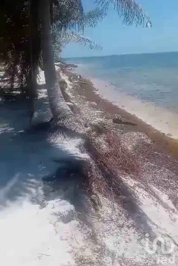 Terreno en Venta en Limones, Bacalar, Quintana Roo | NEX-267874 | iad México | Foto 7 de 13