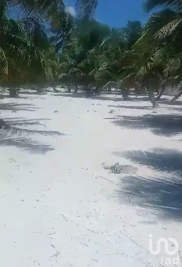 Terreno en Venta en Limones, Bacalar, Quintana Roo | NEX-267874 | iad México | Foto 8 de 13