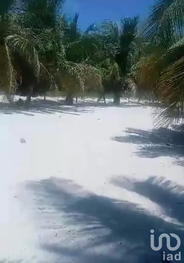 Terreno en Venta en Limones, Bacalar, Quintana Roo | NEX-267874 | iad México | Foto 9 de 13