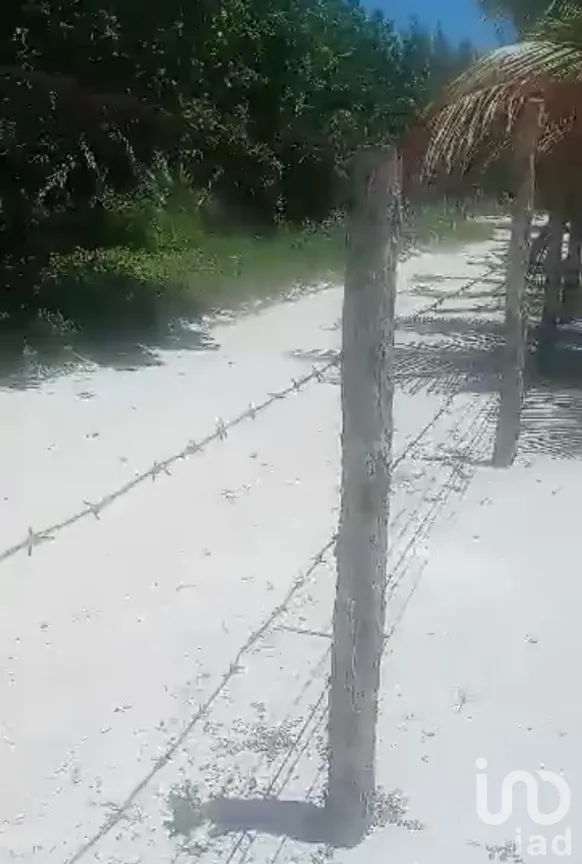 Terreno en Venta en Limones, Bacalar, Quintana Roo | NEX-267874 | iad México | Foto 10 de 13