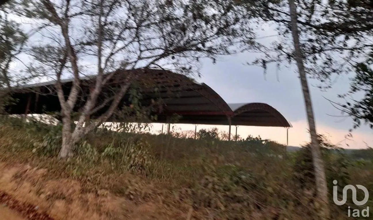 Terreno en Venta en Llano Grande, Santiago Llano Grande, Oaxaca | NEX-269865 | iad México | Foto 3 de 7