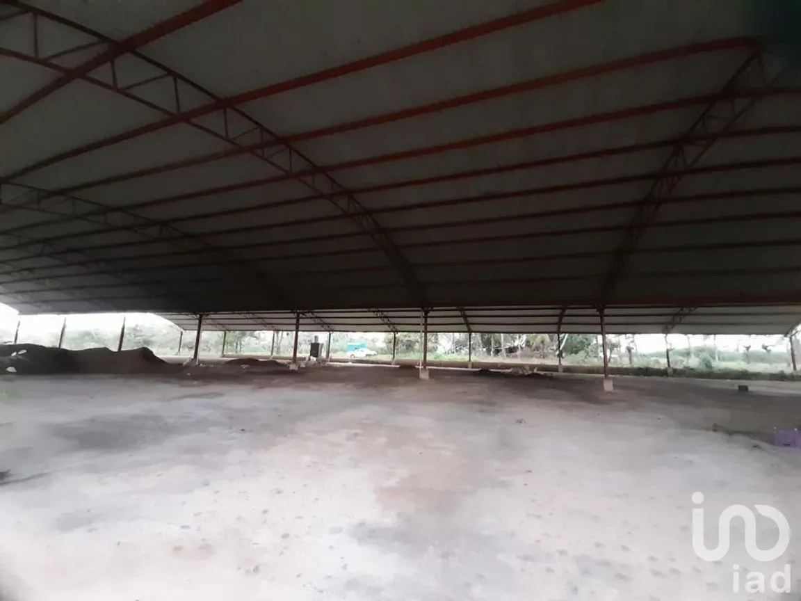 Terreno en Venta en Llano Grande, Santiago Llano Grande, Oaxaca | NEX-269865 | iad México | Foto 4 de 7
