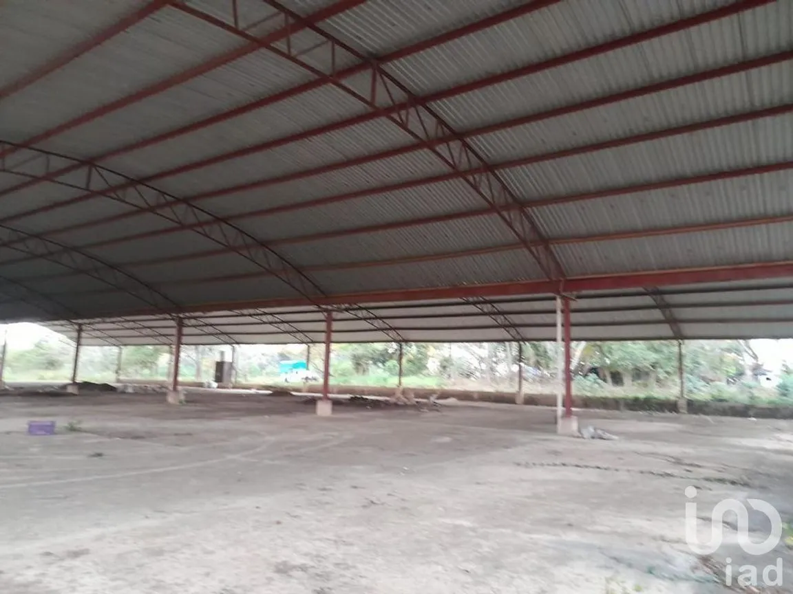 Terreno en Venta en Llano Grande, Santiago Llano Grande, Oaxaca | NEX-269865 | iad México | Foto 6 de 7