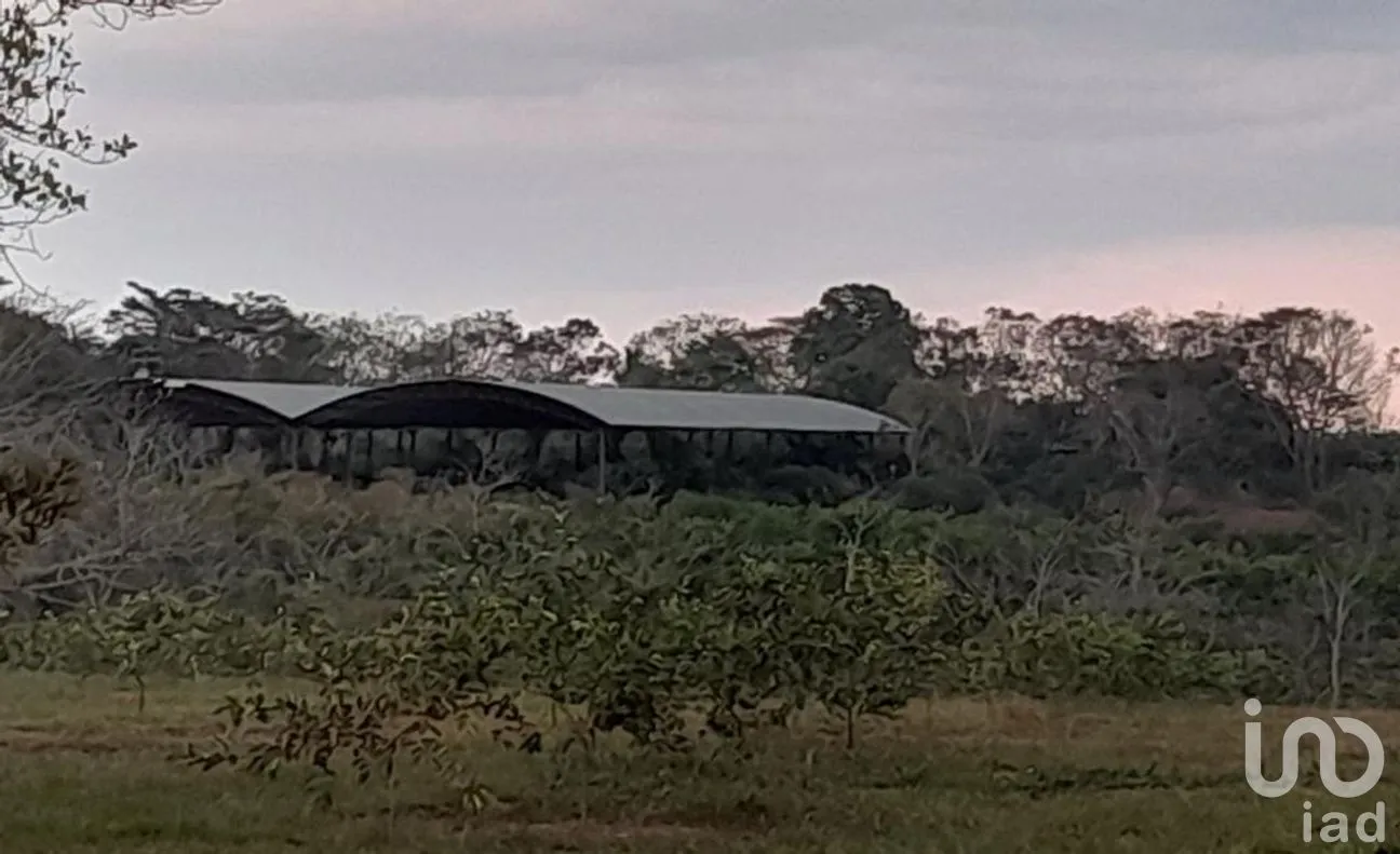 Terreno en Venta en Llano Grande, Santiago Llano Grande, Oaxaca | NEX-269865 | iad México | Foto 7 de 7