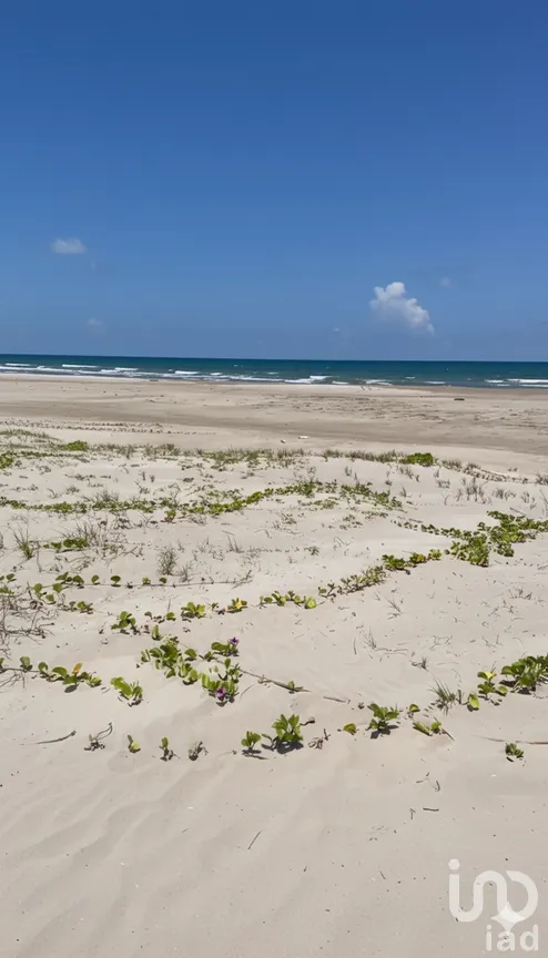 Terreno en Venta en Tamiahua, Tamiahua, Veracruz | NEX-272535 | iad México | Foto 9 de 11
