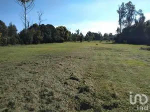 NEX-273590 - Terreno en Venta en Don Chepe, CP 37884, Guanajuato.
