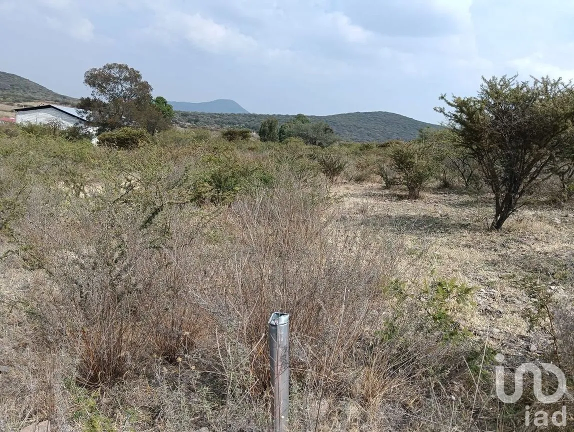 Terreno en Venta en La Ceja, Huimilpan, Querétaro | NEX-278931 | iad México | Foto 4 de 13