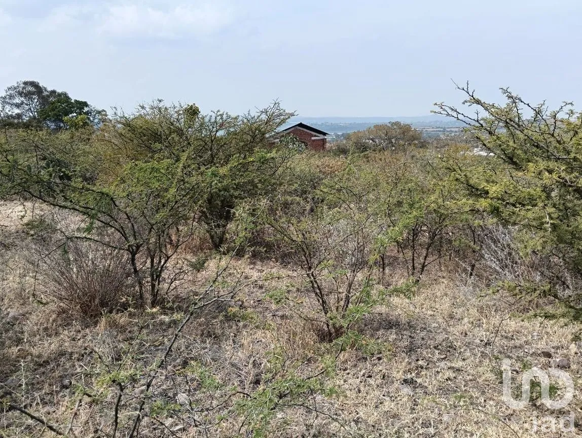 Terreno en Venta en La Ceja, Huimilpan, Querétaro | NEX-278931 | iad México | Foto 5 de 13